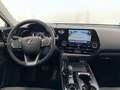 Lexus NX 300 PREMIUM Groen - thumbnail 7