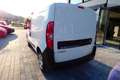 Opel Combo Kasten L1H1 2,2t D Wit - thumbnail 8