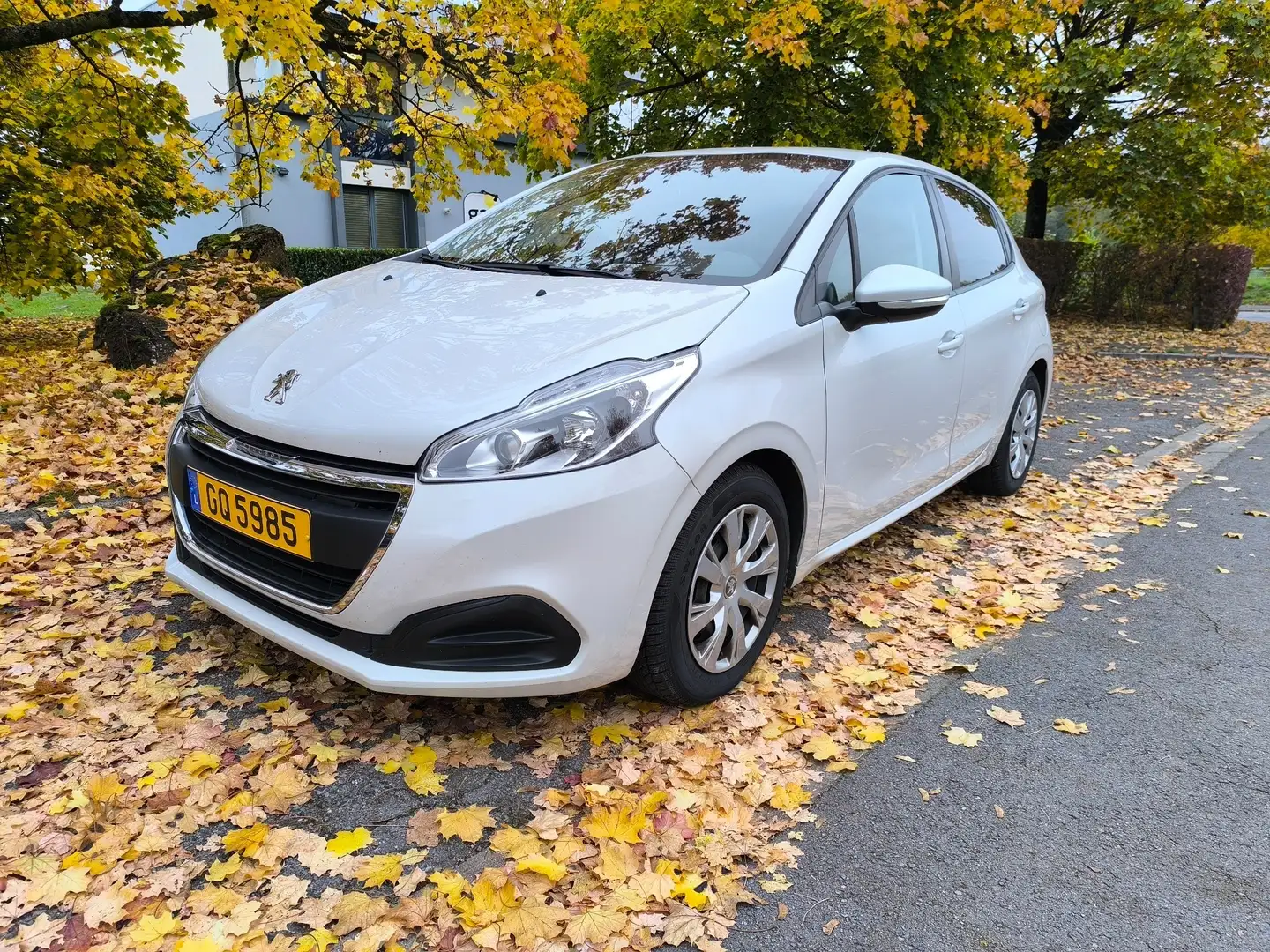 Peugeot 208 208 1.2 PureTech 82ch BVM5 Active Business Blanc - 1