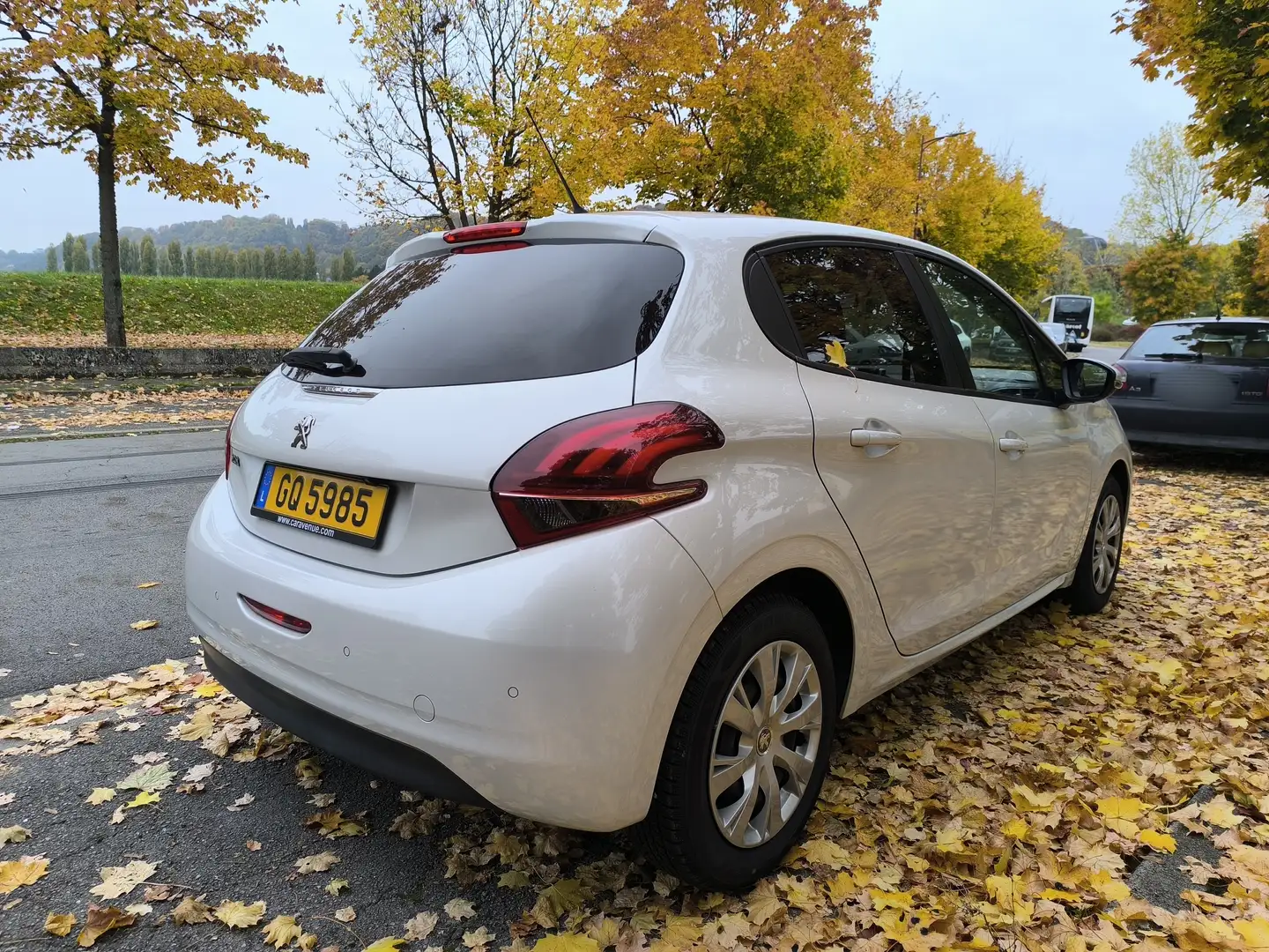 Peugeot 208 208 1.2 PureTech 82ch BVM5 Active Business Blanc - 2