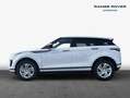 Land Rover Range Rover Evoque D165 S Blanc - thumbnail 6