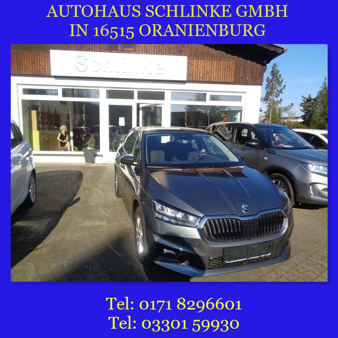 Skoda Fabia Style 1.0TSI 95PS SHZ PDC SML BT SR/WR LED TEMPOMA Grau - 1