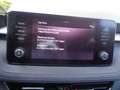 Skoda Fabia Style 1.0TSI 95PS SHZ PDC SML BT SR/WR LED TEMPOMA Grau - thumbnail 31