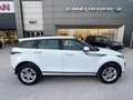 Land Rover Range Rover Evoque Range Rover Evoque 2.0 D I4 MHEV 150cv S AWD Auto Blanc - thumbnail 7