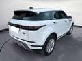 Land Rover Range Rover Evoque Range Rover Evoque 2.0 D I4 MHEV 150cv S AWD Auto Blanc - thumbnail 4