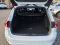Ford Focus Wagon 1.0 EBH ST Line, business, camera, digitaal Weiß - thumbnail 15