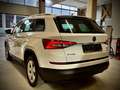 Skoda Kodiaq 1,4 TSI 4x4 Style DSG Weiß - thumbnail 8