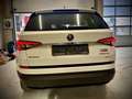 Skoda Kodiaq 1,4 TSI 4x4 Style DSG Weiß - thumbnail 13
