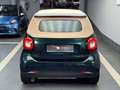 smart forTwo Cabrio *Prime* Tailor Made Ed. *Capote\u0026Cuir b Green - thumbnail 5