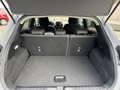 Ford Puma 1.0 EcoBoost MHEV Titanium 125 Gris - thumbnail 11