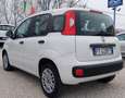 Fiat Panda Panda III 2016 1.2 Easy s Blanc - thumbnail 6