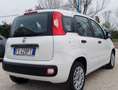 Fiat Panda Panda III 2016 1.2 Easy s Blanc - thumbnail 4