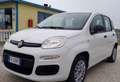 Fiat Panda Panda III 2016 1.2 Easy s Blanc - thumbnail 8