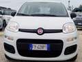 Fiat Panda Panda III 2016 1.2 Easy s Blanc - thumbnail 1