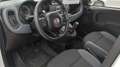 Fiat Panda Panda III 2016 1.2 Easy s Blanc - thumbnail 9