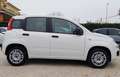 Fiat Panda Panda III 2016 1.2 Easy s Blanc - thumbnail 3