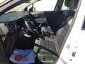 Citroen C3 Aircross BlueHDi S&S Shine 110 Blanc - thumbnail 6