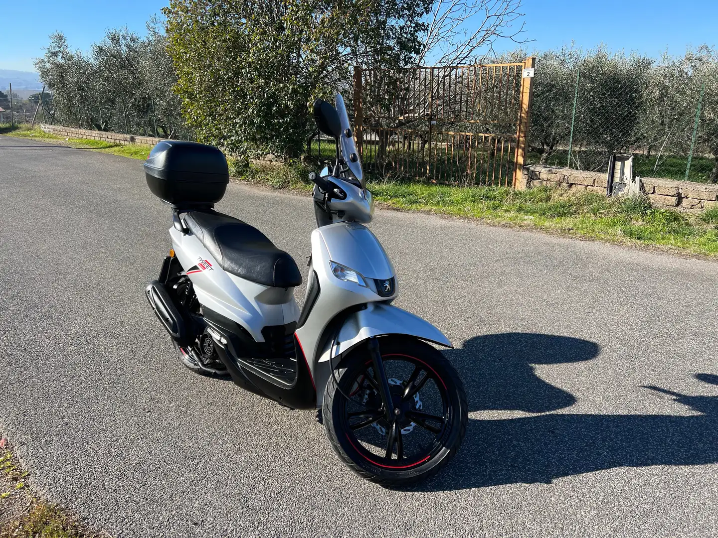 Peugeot Tweet Zilver - 1