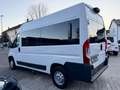 Fiat Ducato Fiat Ducato Kombi 33 130 Klima/Navi/Kamera Weiß - thumbnail 9