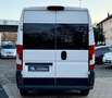 Fiat Ducato Fiat Ducato Kombi 33 130 Klima/Navi/Kamera Weiß - thumbnail 10