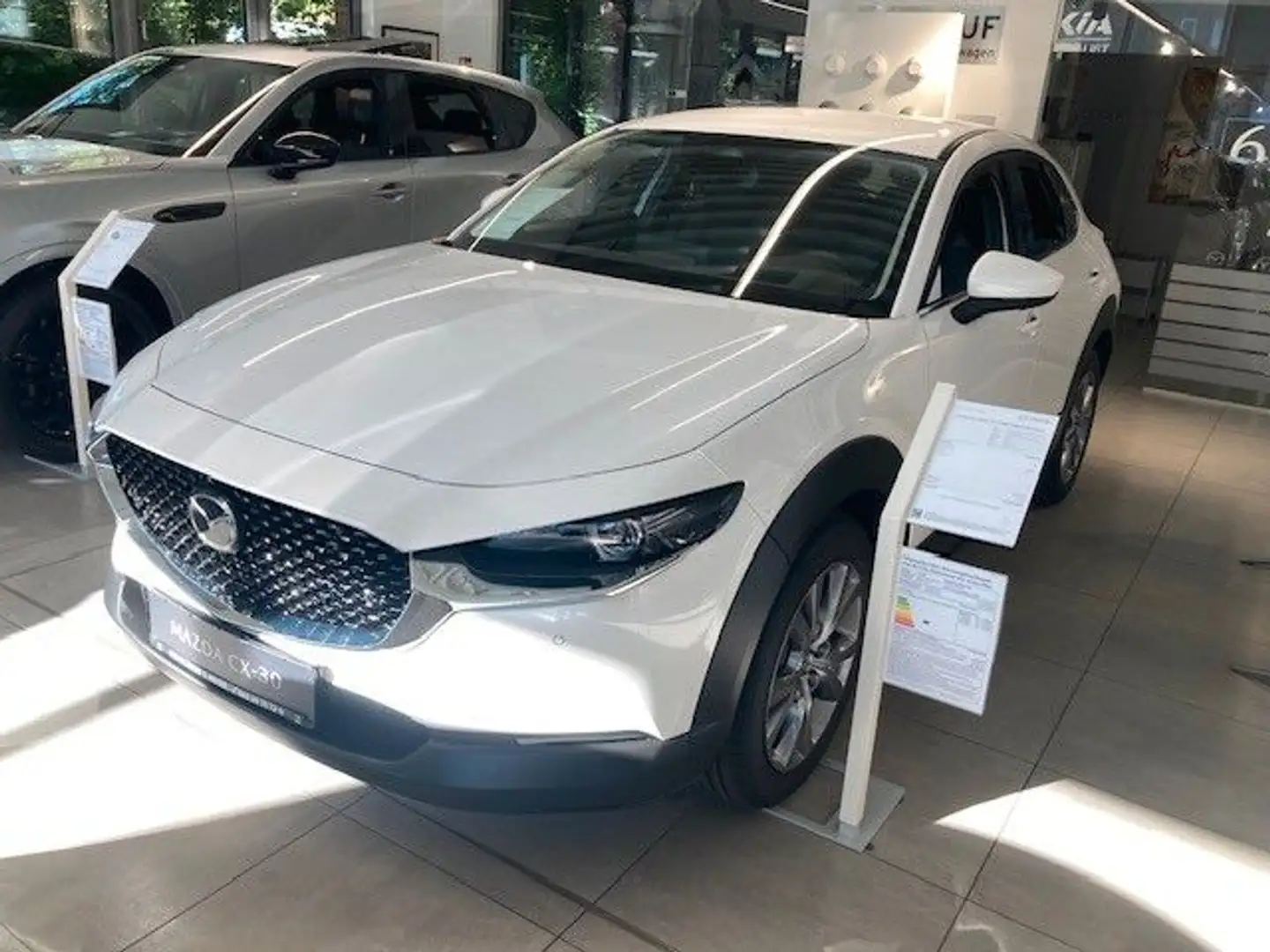 Mazda CX-30 2.5L e-SKYACTIV G 140PS Takumi Leder Autom Blanc - 1