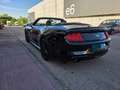 Ford Mustang 2.3 EcoBoost 231kW  Aut. (Conv.) Negro - thumbnail 11