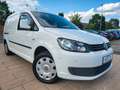 Volkswagen Caddy Maxi Kasten PDC/Klima/8fachBereift Wit - thumbnail 3