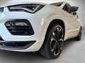 CUPRA Ateca 2.0 TSI 4Drive DSG Weiß - thumbnail 4