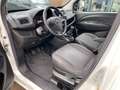 Opel Combo D 1.4 16V Kasten L1H1 2,2t Klima Einparkhilfe Weiß - thumbnail 11