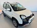 Fiat Panda Panda III 2016 4x4 1.3 mjt 16v Cross 4x4 s - thumbnail 21