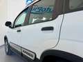 Fiat Panda Panda III 2016 4x4 1.3 mjt 16v Cross 4x4 s - thumbnail 15