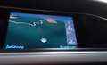 Audi A4 Avant S line Sportpaket / plus NAV DSP SHZ Braun - thumbnail 21