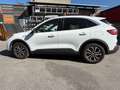 Ford Kuga 1,5 EcoBlue Cool & Connect Weiß - thumbnail 2
