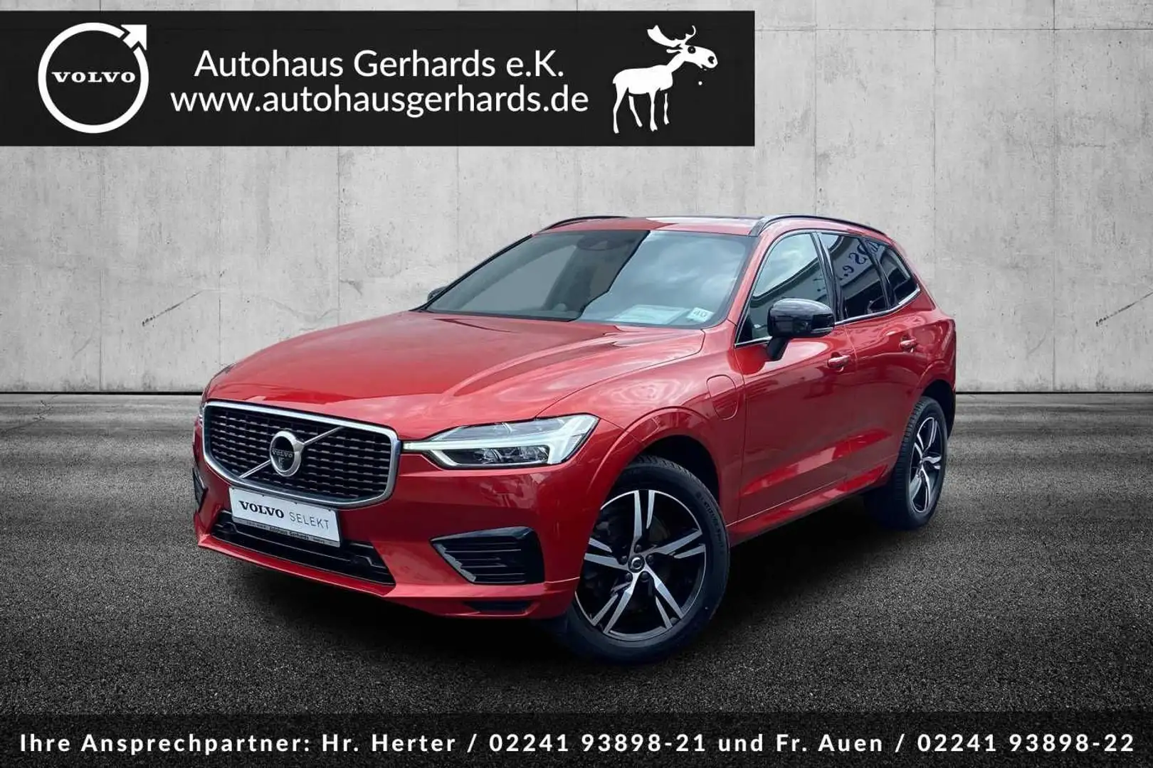 Volvo XC60 Plug-In-Hybrid T8 AWD, R-Design, ACC, BLIS, Rot - 1