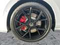 Volkswagen Golf GTI Golf VIII GTI 2.0 TSI DSG MATRIX+NAVI+PANO+19Z Weiß - thumbnail 8