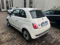 Fiat 500 500 1.2 Lounge 69cv *TETTO PANORAMICO* - thumbnail 6