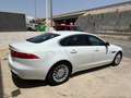 Jaguar XF 2.0i4D Prestige Aut. 180 Blanco - thumbnail 3