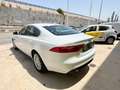 Jaguar XF 2.0i4D Prestige Aut. 180 Blanco - thumbnail 6