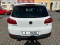 Volkswagen Tiguan Lounge Sport & Style BMT AHK NAVI KAMERA Weiß - thumbnail 4