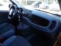 Fiat Panda 1.2 Easy 69cv Orange - thumbnail 12