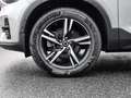 Volvo XC40 Plus Dark 2WD B3 EU6d digitales Cockpit Memory Sit Grau - thumbnail 3