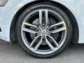 Audi SQ5 3.0TDI Quattro LED* Leder* Kamera* inkl. Garantie* Weiß - thumbnail 9