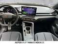 CUPRA Terramar 1.5 TSI DSG PDC ACC LED AHK DAB Bluetooth Gris - thumbnail 8