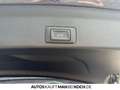 CUPRA Terramar 1.5 TSI DSG PDC ACC LED AHK DAB Bluetooth Gris - thumbnail 16