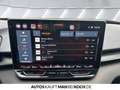 CUPRA Terramar 1.5 TSI DSG PDC ACC LED AHK DAB Bluetooth Gris - thumbnail 29