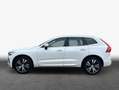Volvo XC60 XC60 B5 D AWD Ultimate Bright Weiß - thumbnail 4