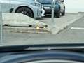 BMW i8 Roadster *First Edition* *1of200* HeadUp Sitzhz... Orange - thumbnail 17