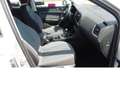 SEAT Ateca 1.5 Style TSI BMT Navi Klima Alu Silber - thumbnail 12