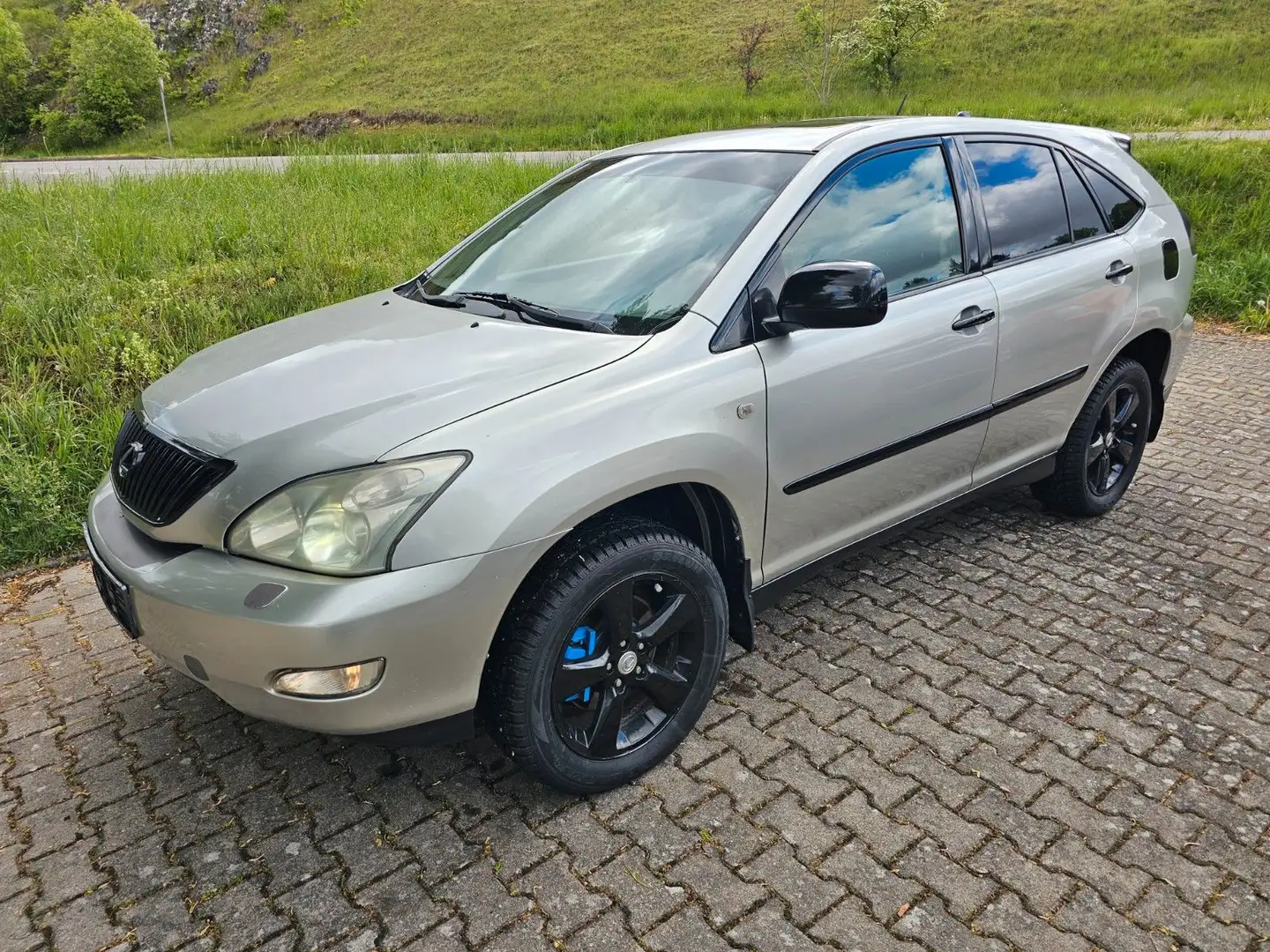 Lexus RX 300 Executive Xenon Leder Navi Kamera Grau - 1