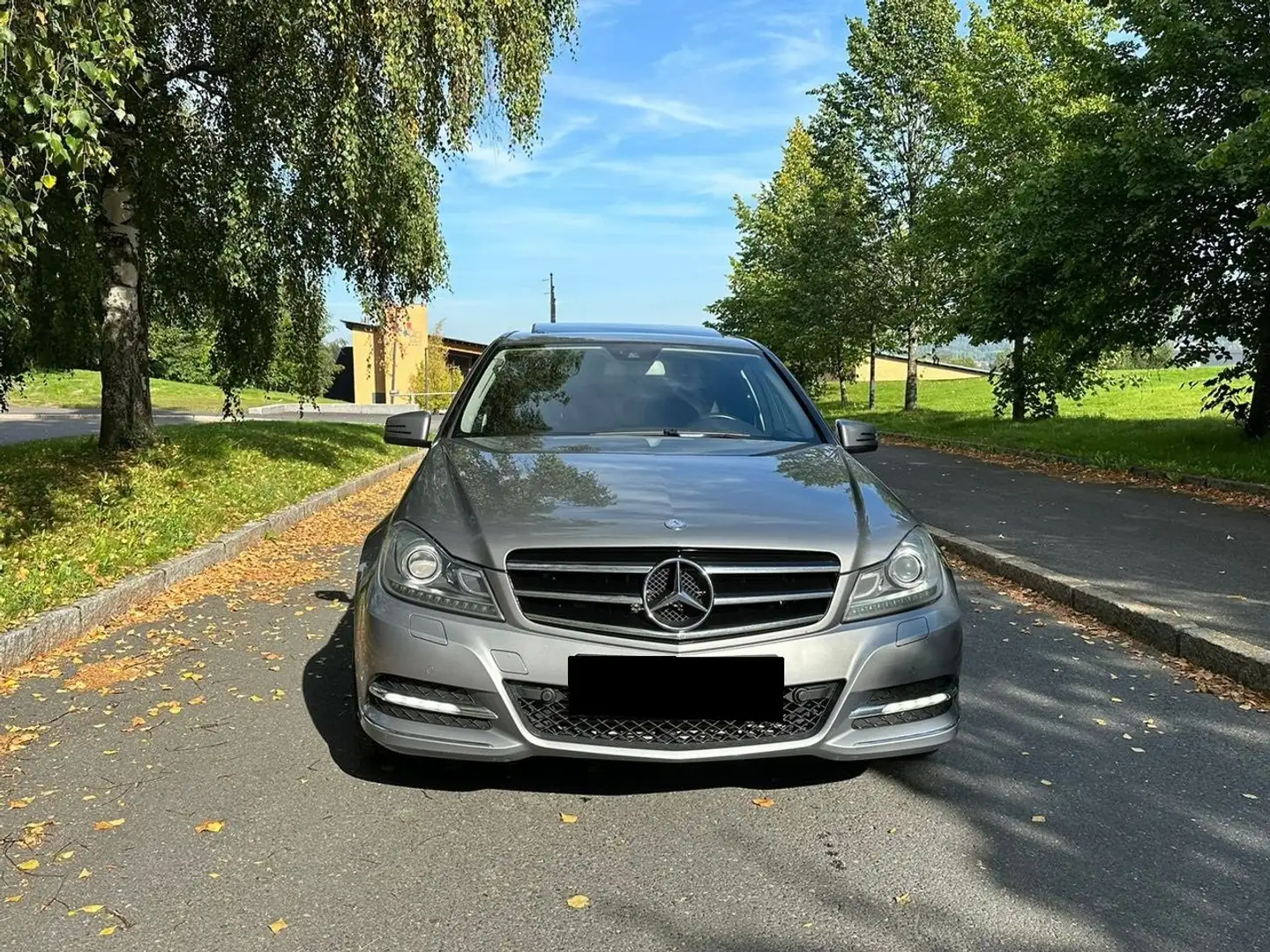 Mercedes-Benz C 250 CDI 4-Matic BE Avantgarde Start/St siva - 1